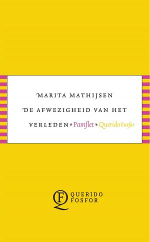 Cover of the book De afwezigheid van het verleden by Anna Enquist