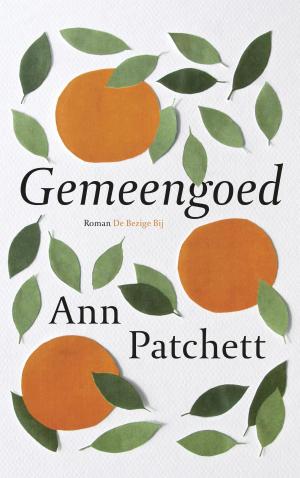 Cover of the book Gemeengoed by Elizabeth Gilbert