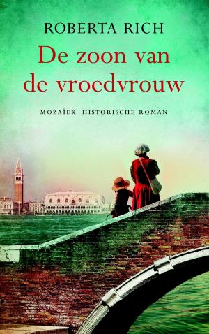 Cover of the book De zoon van de vroedvrouw by Hans Stolp