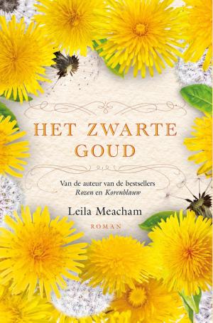 Cover of the book Het zwarte goud by J. Hoek