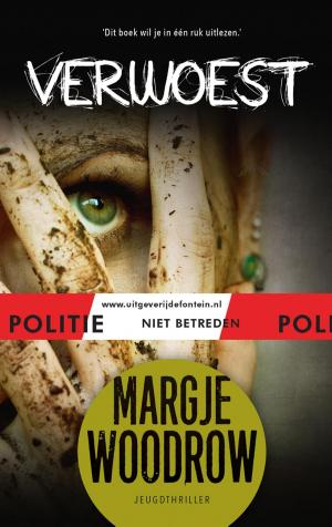 Cover of the book Verwoest by Phil Earle