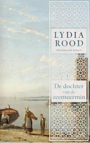 Book cover of De dochter van de zeemeermin