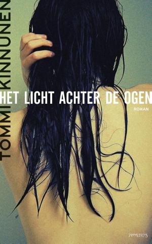 Cover of the book Het licht achter de ogen by Leif G.W. Persson