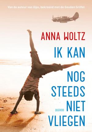 Cover of the book Ik kan nog steeds niet vliegen by Anna Krijger
