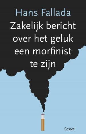Cover of the book Zakelijk bericht over het geluk een morfinist te zijn by Jan van Mersbergen