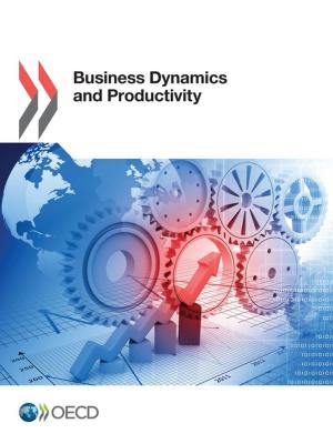 Cover of the book Business Dynamics and Productivity by 