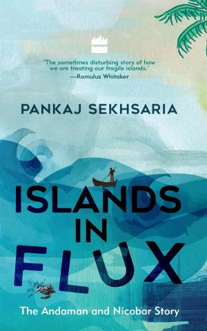 Cover of the book Islands In Flux: The Andaman and Nicobar Story by Lloyd Robertson