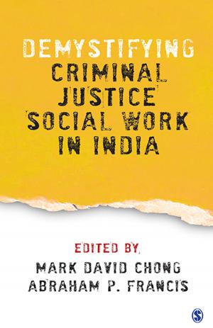 Cover of the book Demystifying Criminal Justice Social Work in India by Dr. Shaun Bowler, Gary M. Segura