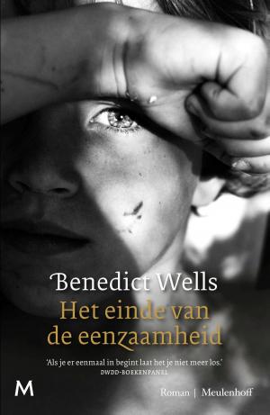 Cover of the book Het einde van de eenzaamheid by Hendrik Groen