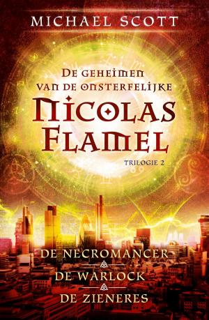 Cover of the book De geheimen van de onsterfelijke Nicolas Flamel 2 by Willee Amsden