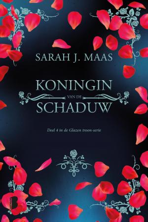 Cover of the book Koningin van de schaduw by Bruce Blake