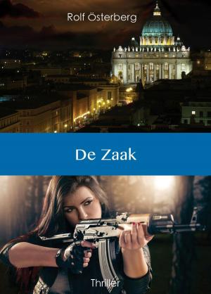 Cover of the book De Zaak by David Grabijn