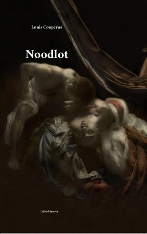 Book cover of Noodlot
