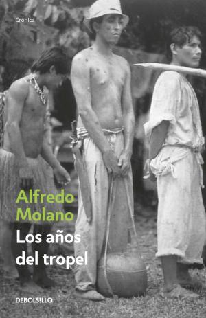 Cover of the book Los años del tropel by Santiago Gamboa
