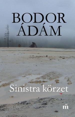 Cover of the book Sinistra körzet by Medeas Wray, Sheila Fallon: editor, Anna Cleary: cover designer