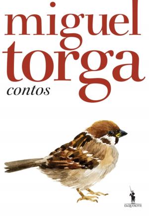 Cover of the book Contos by Miguel Real