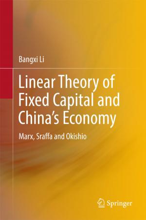 Cover of the book Linear Theory of Fixed Capital and China’s Economy by Daniel Broudy, Miyume Tanji