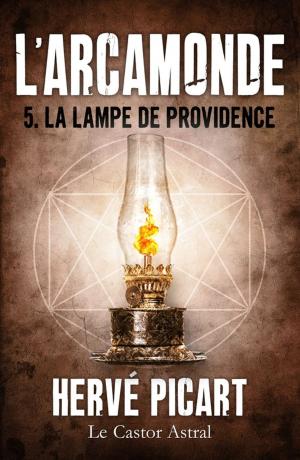 Cover of the book La Lampe de Providence by Véronique Biefnot, Francis Dannemark