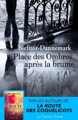 Cover of the book Place des ombres, après la brume by Franz Kafka