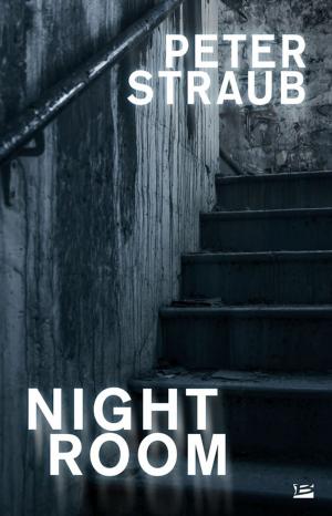 Cover of the book Night Room by P.-J. Hérault