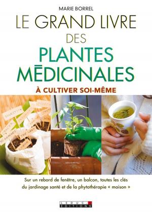 Cover of the book Le Grand Livre des plantes médicinales by Marie Borrel, Philippe Maslo