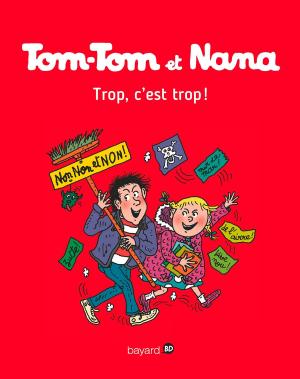 Cover of the book Tom-Tom et Nana, Tome 27 by R.L Stine