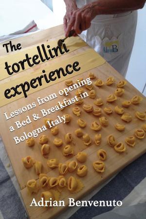 Cover of the book The tortellini experience by Manola Costanzi, Domitilla Petriaggi