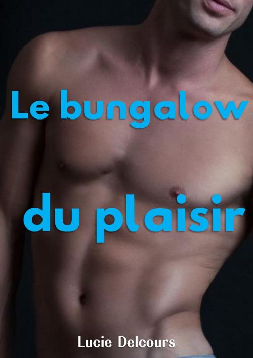 Cover of the book Le bungalow du plaisir by Lucie Delcours, LD Edition