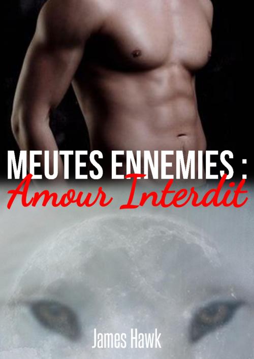 Cover of the book Meutes ennemies - Amour interdit by James Hawk, JH Edition