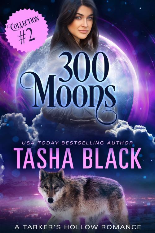 Cover of the book 300 Moons Collection 2 by Tasha Black, 13th Story Press