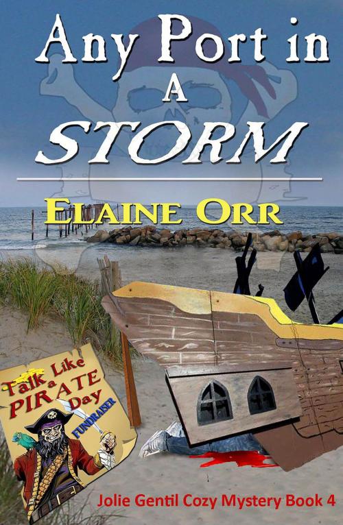 Cover of the book Any Port in a Storm by Elaine L. Orr, Lifelong Dreams Publishing
