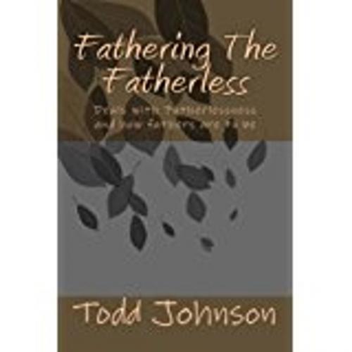 Cover of the book Fathering the fatherless by todd johnson, createspace