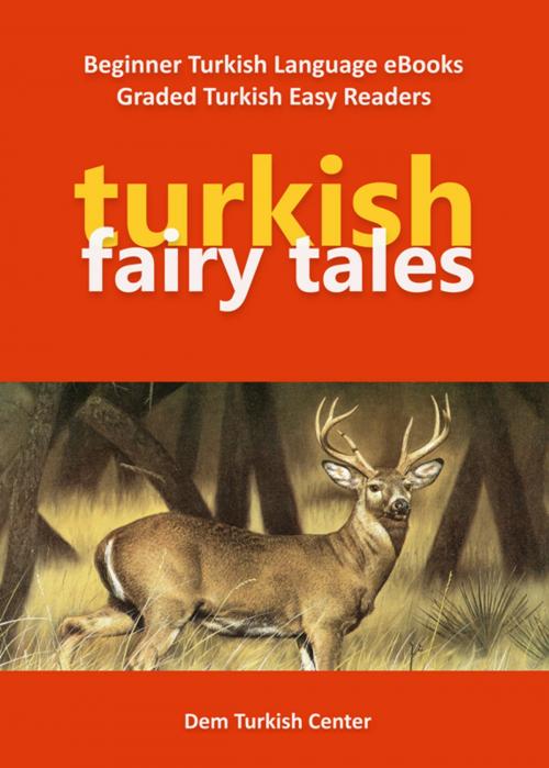 Cover of the book Turkish Fairy Tales by Ali Akpinar, Dem Turkish Center
