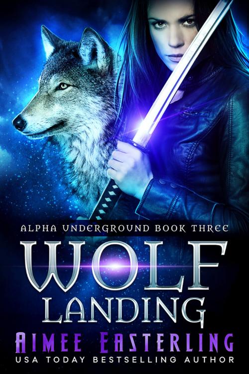 Cover of the book Wolf Landing by Aimee Easterling, Wetknee Books