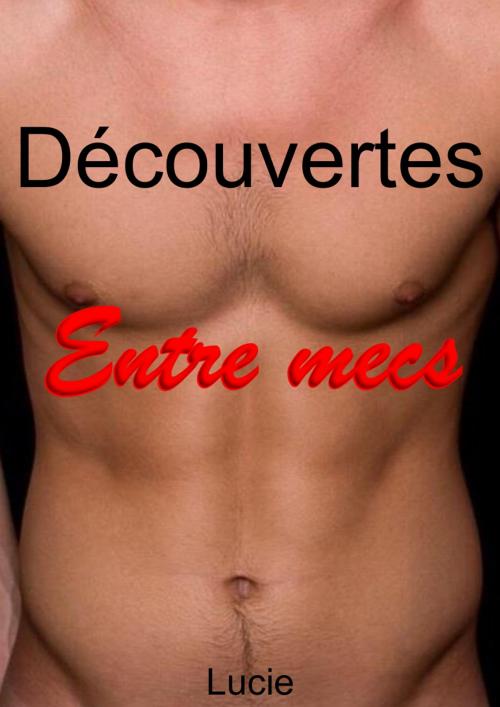 Cover of the book Découvertes entre mecs by Lucie Delcours, LD Edition