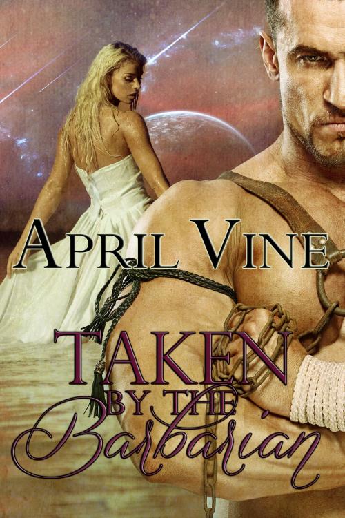 Cover of the book Taken by the Barbarian by April Vine, Stormy Night Publications