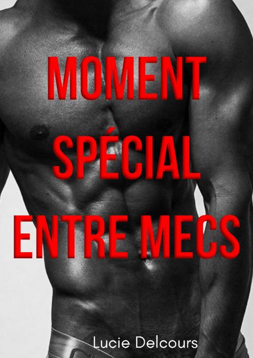 Cover of the book Moment spécial entre mecs by Lucie Delcours, LD Edition