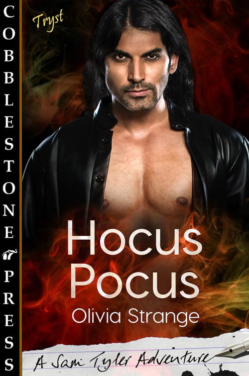 Cover of the book Hocus Pocus by Olivia Strange, Cobblestone Press
