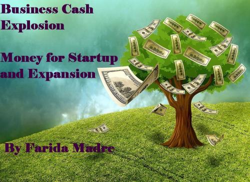 Cover of the book Business Cash Explosion by Farida Madre, Pro Business Consultants