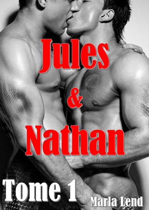 Cover of the book Jules & Nathan - Tome 1 by Marla Lend, ML Edition