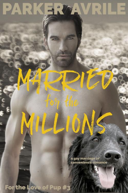 Cover of the book Married for the Millions by Parker Avrile, Paris April Press