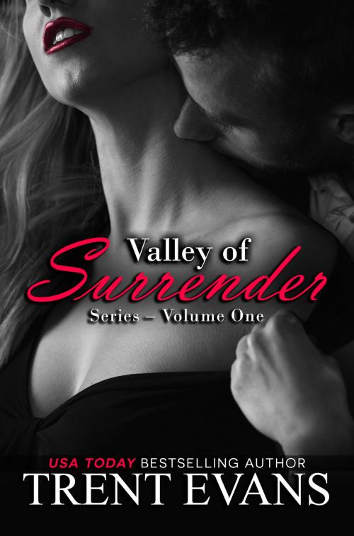 Cover of the book Valley of Surrender Series - Vol.I by Trent Evans, Shadow Moon Press