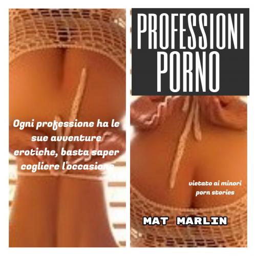 Cover of the book Professioni porno (porn stories) by Mat Marlin, Mat Marlin