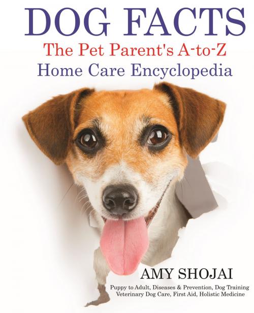Cover of the book Dog Facts by Amy Shojai, Furry Muse Publishing