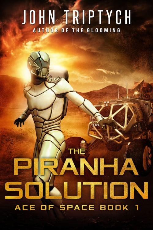 Cover of the book The Piranha Solution by John Triptych, J Triptych Publishing