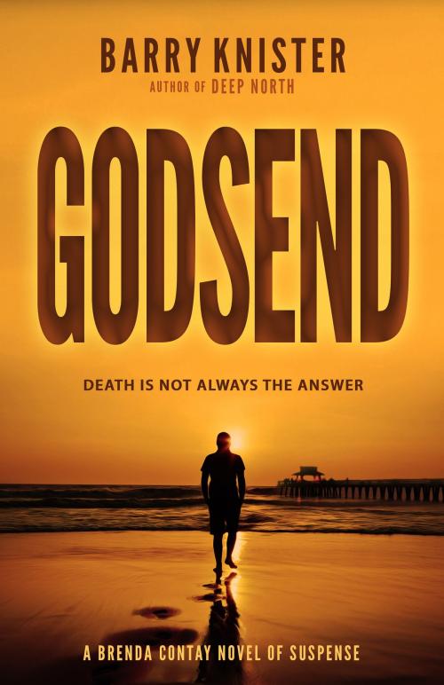 Cover of the book Godsend by Barry Knister, BHC Press
