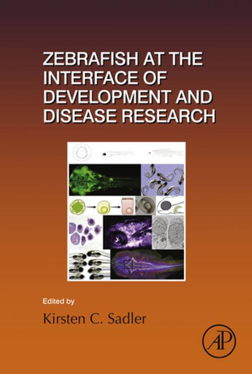 Cover of the book Zebrafish at the Interface of Development and Disease Research by Kirsten C. Sadler Edepli, Elsevier Science