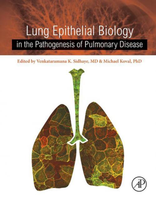 Cover of the book Lung Epithelial Biology in the Pathogenesis of Pulmonary Disease by Venkataramana K Sidhaye, MD, Michael Koval, PhD, Elsevier Science