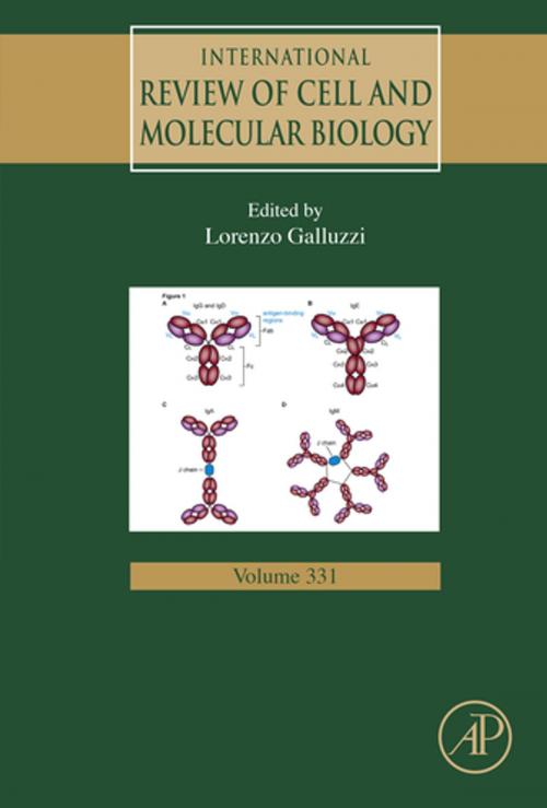 Cover of the book International Review of Cell and Molecular Biology by Lorenzo Galluzzi, Elsevier Science