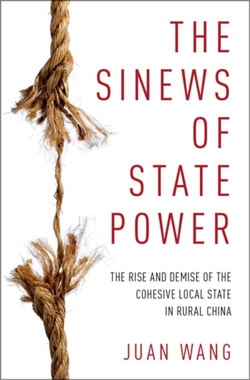 Cover of the book The Sinews of State Power by Juan Wang, Oxford University Press